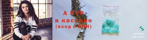амф Алексин