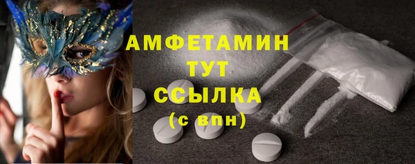 амф Алексин